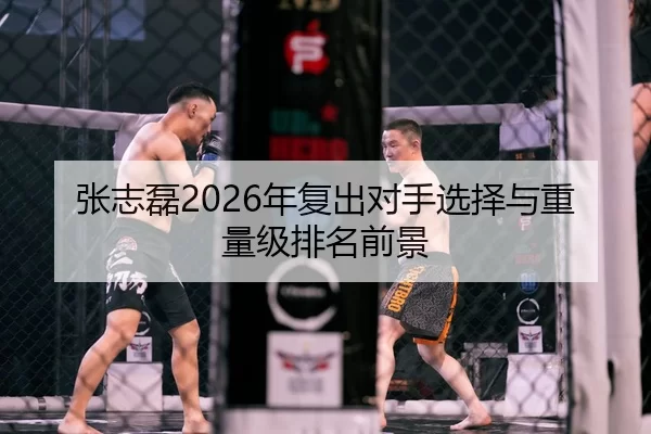 张志磊2026年复出对手选择与重量级排名前景