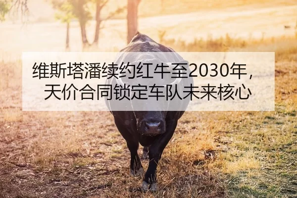 wei-si-ta-pan-xu-yue-hong-niu-zhi-nian-tian-jia-he-tong-suo-ding-che-dui-wei-lai-he-xin-2-407.jpg